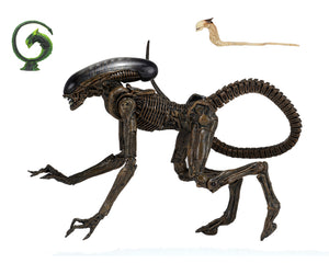 NECA Alien 3 – 7″ Scale Action Figure – Ultimate Dog Alien