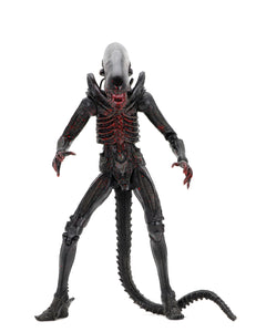 NECA Alien – 7″ Scale Action Figure – 40th Anniversary Big Chap (Bloody)