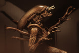 NECA Aliens – 7″ Scale Action Figure – Series 14 Alien Resurrection - Set of 2