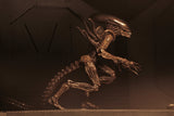 NECA Aliens – 7″ Scale Action Figure – Series 14 Alien Resurrection - Set of 2